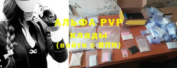 сатива Пересвет