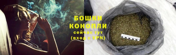 сатива Пересвет