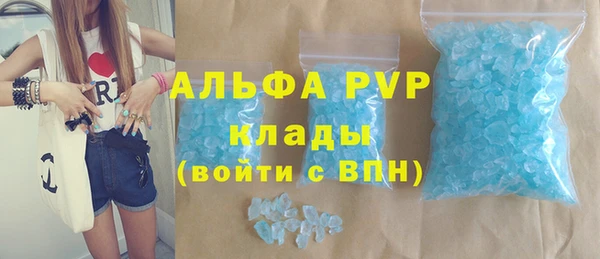 сатива Пересвет