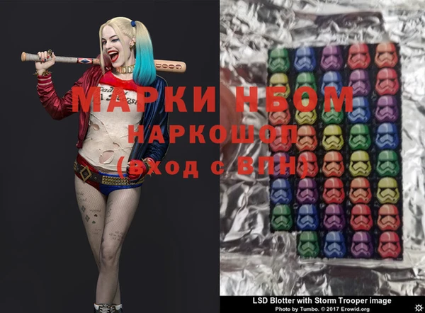 сатива Пересвет