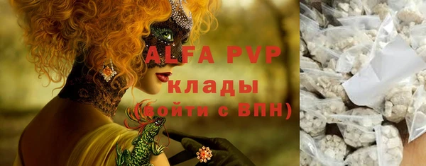 сатива Пересвет