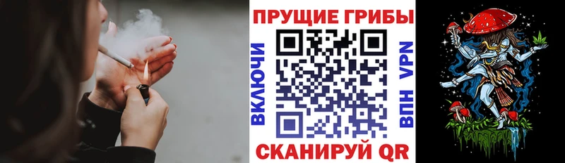Купить  Городище  Псилоцибиновые грибы ЛСД 