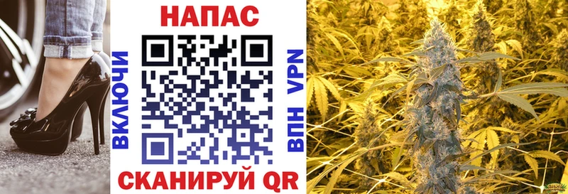 Купить где  Городище  Марихуана сатива 